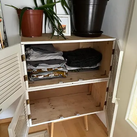 Beautiful And Peaceful In The Heart Of Münih